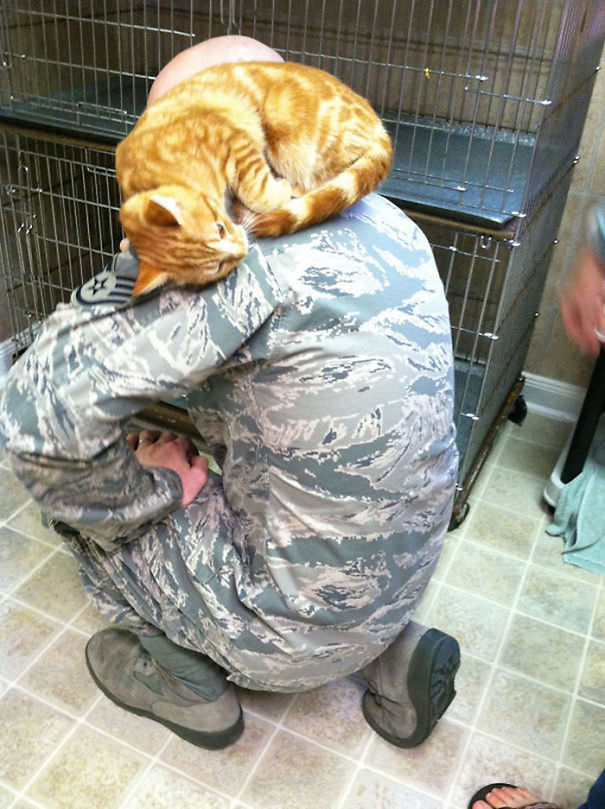 10+ Photos Of Soldiers With The Cat They Became Friends With, While On Duty