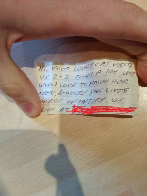 After a walk, the sociable cat returned home with a heartwarming note on the collar