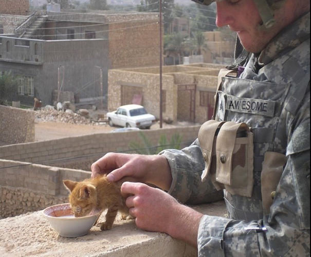 10+ Photos Of Soldiers With The Cat They Became Friends With, While On Duty