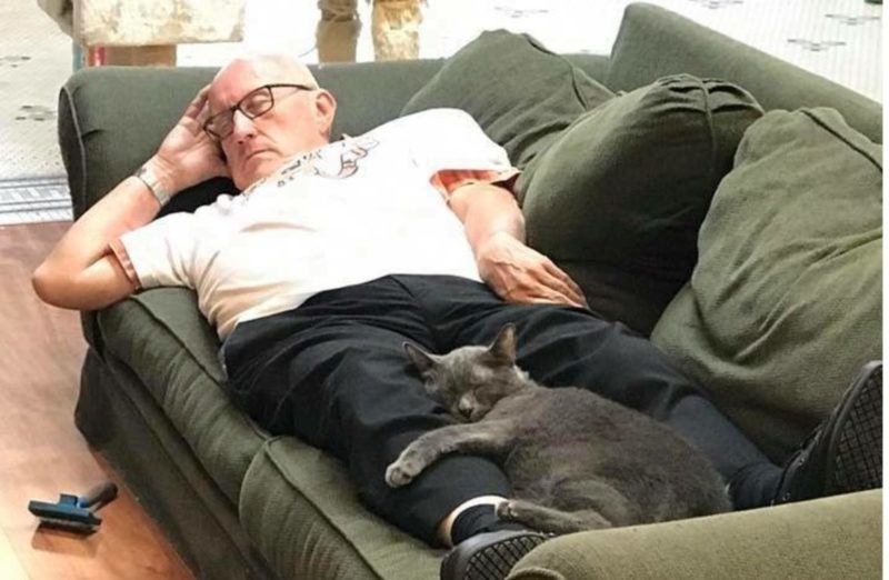 75-year-old the kindest grandpa volunteers: he cuddles shelter cats every day for 6 months in a row