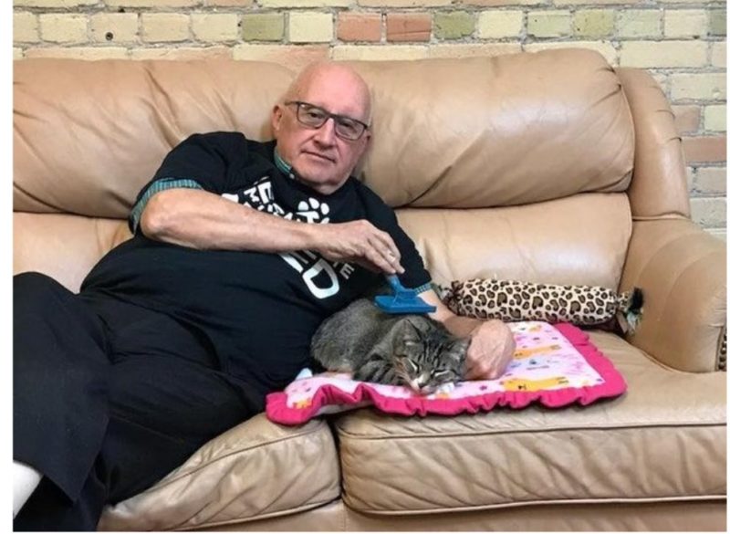 75-year-old the kindest grandpa volunteers: he cuddles shelter cats every day for 6 months in a row