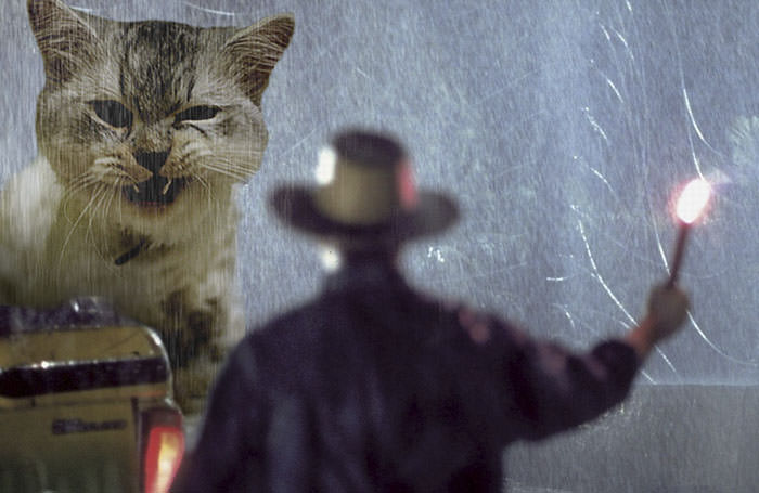 Jurassic Park’s Dinosaurs Replaced With Cats, And It’s Hilarious